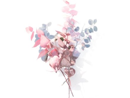 demo-attachment-1106-evie-s-vz3IQy0LOaA-unsplash-1024x1024-1